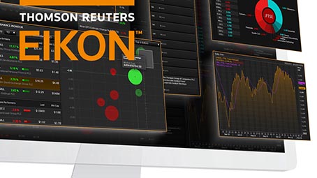 Images of Eikon on a desktop screen