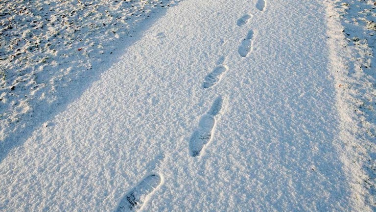 Footprints are seen on a snow covered path in a park in Knutsford, northern England, January 5, 2009. 